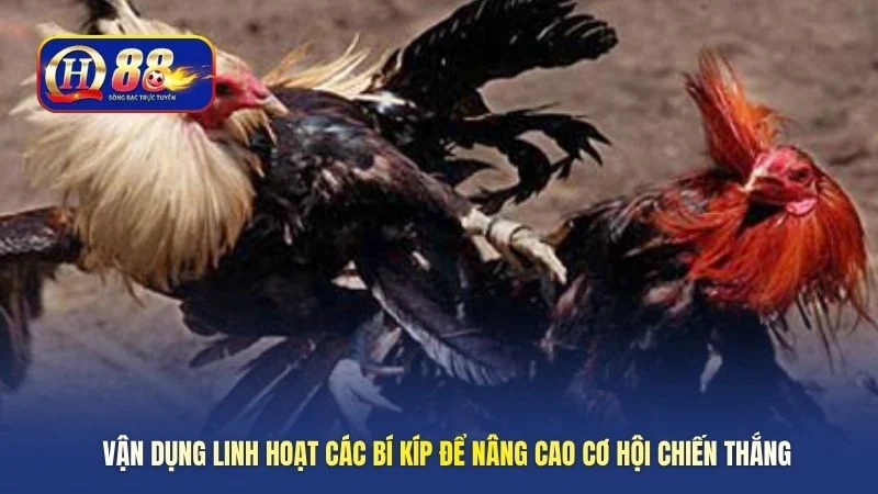 Vận dụng linh hoạt các bí kíp để nâng cao cơ hội chiến thắng 